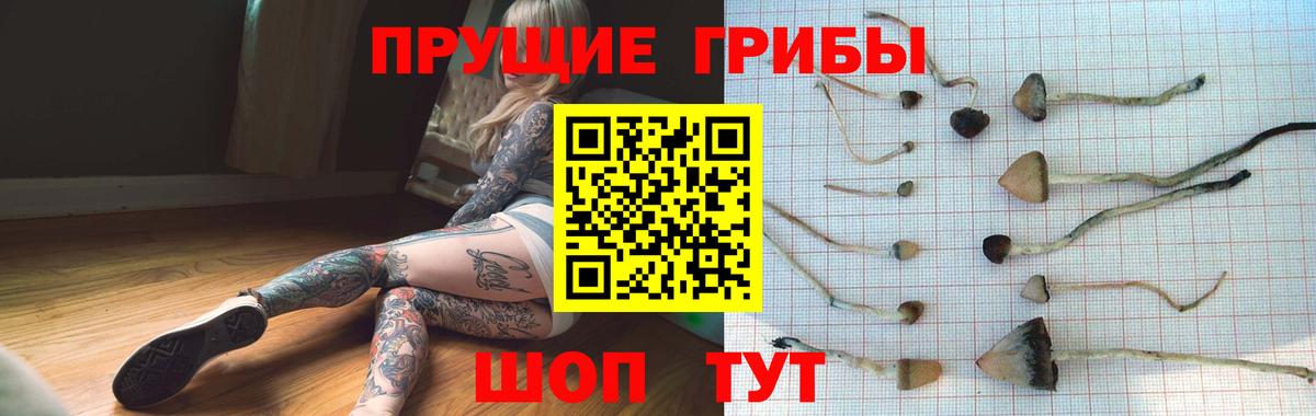 Галлюциногенные грибы ЛСД  Галлюциногенные грибы мухоморы  Вход с VPN  Ленинск-Кузнецкий 